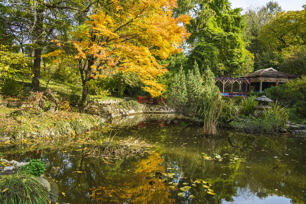 Jardin Botanique Cluj