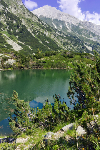 Mont Vihren Parc national du Pirin Bulgarie