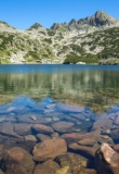 Parc national du Pirin Bulgarie