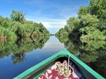 Barque sur le Delta du Danube