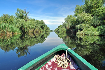 Barque sur le Delta du Danube