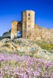 Forteresse médiévale - Enișala Roumanie