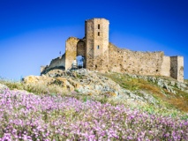 Forteresse médiévale - Enișala
