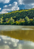 Danube Bulgarie