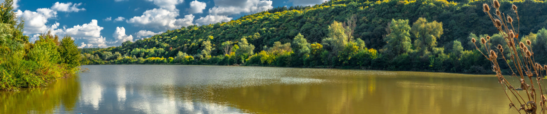 Danube Bulgarie