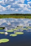 Delta du Danube
