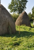 Le Maramures Roumanie