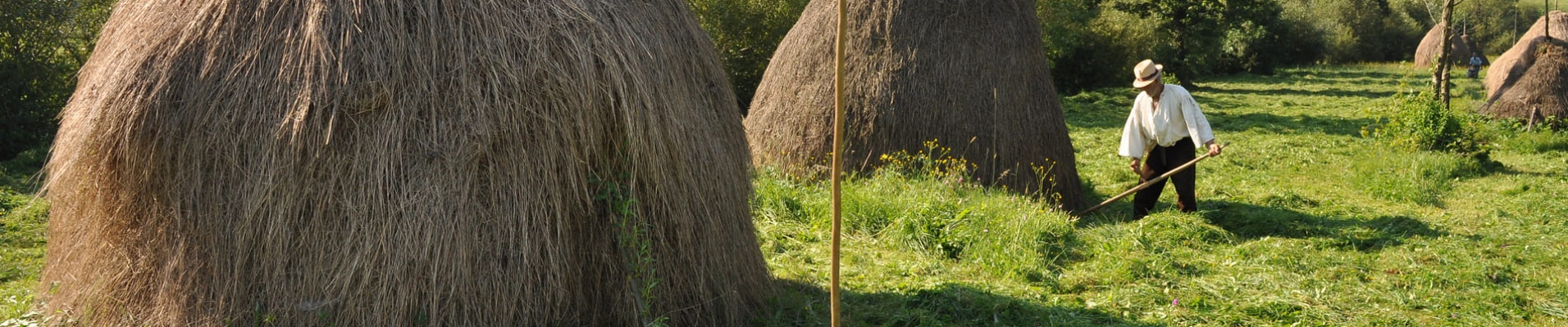 Le Maramures Roumanie