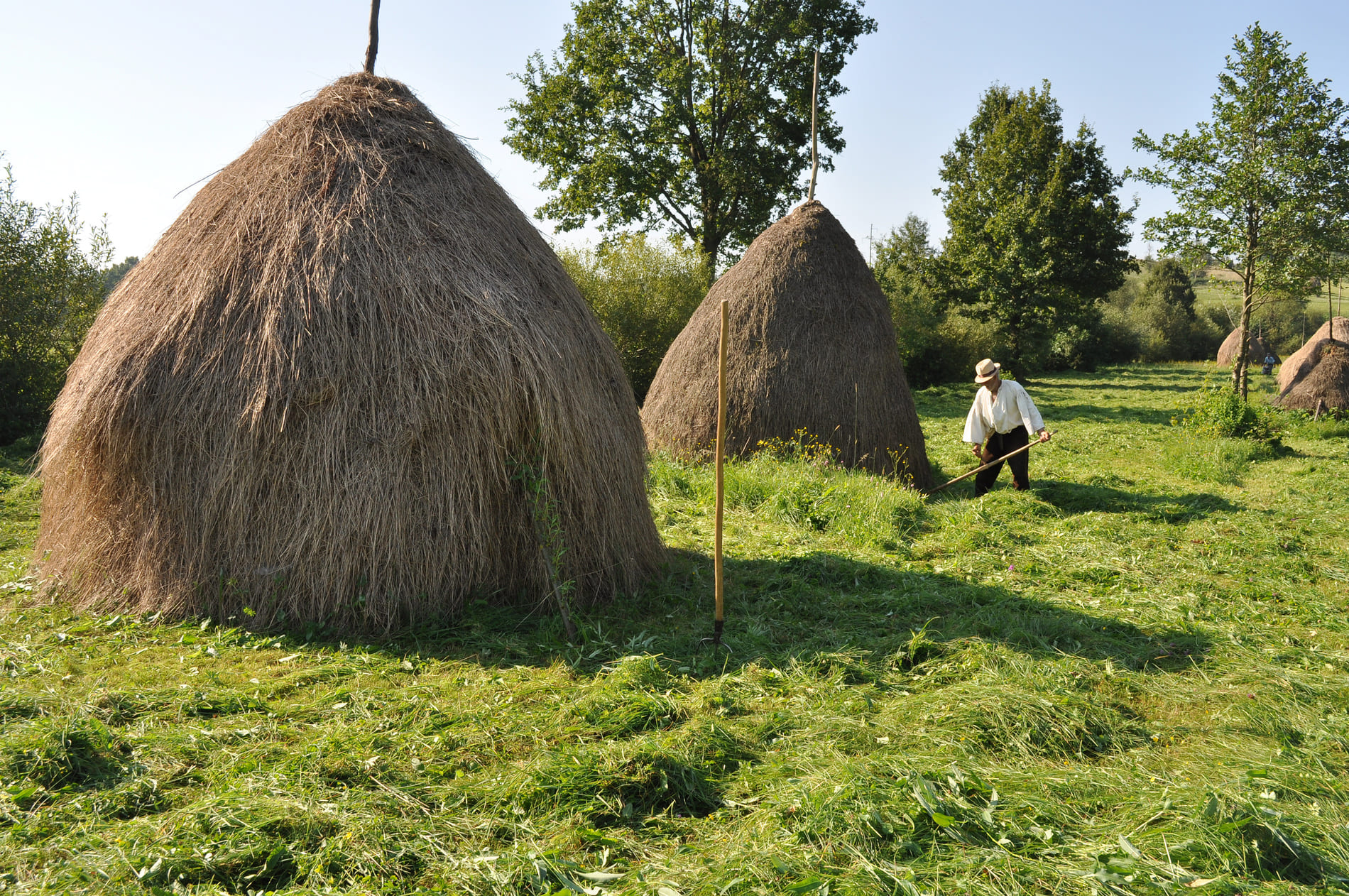 Le Maramures Roumanie