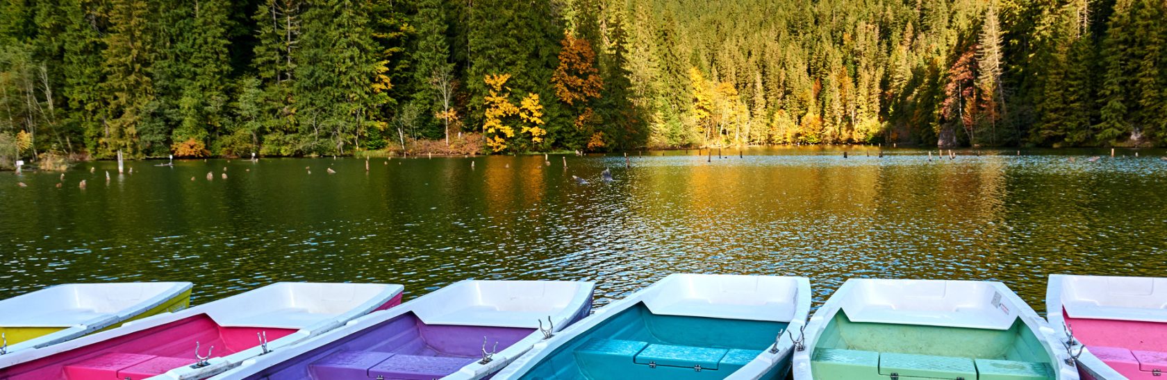 Lac Carpates Roumanie