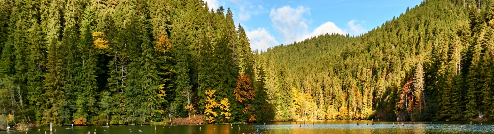 Lac Carpates Roumanie