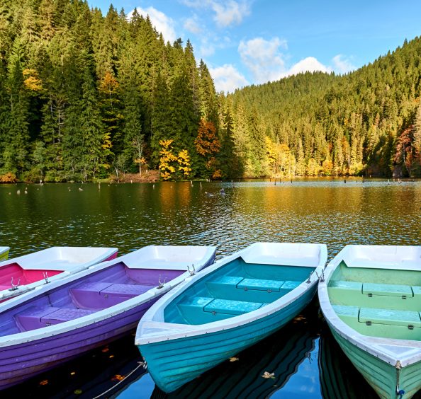 Lac Carpates Roumanie