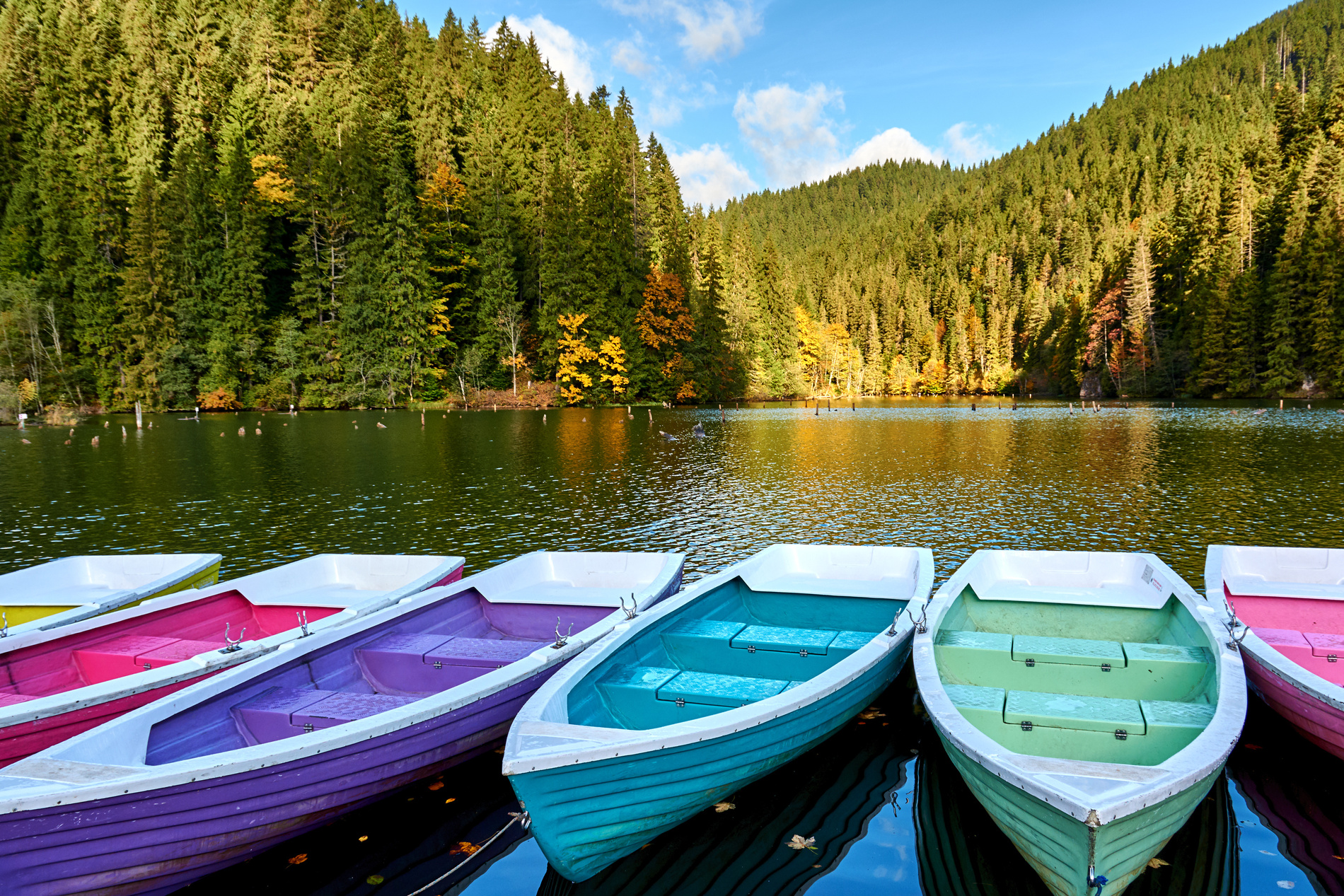 Lac Carpates Roumanie