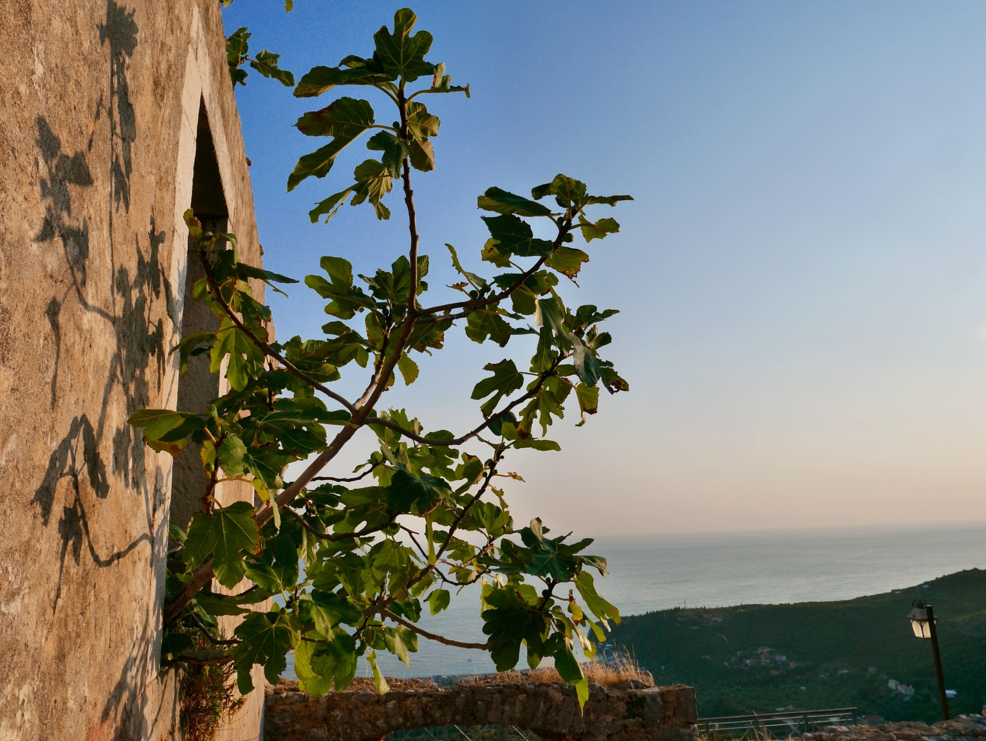 Himare